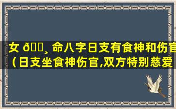 女 🌸 命八字日支有食神和伤官（日支坐食神伤官,双方特别慈爱溺爱）